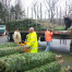 Thumbnail image for Get your Christmas tree at the Fire Station starting on Wednesday
