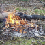 Thumbnail image for Brush burning permits available through April 30