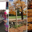 Thumbnail image for Chestnut Hill Farm Harvest Festival: Pie contest, pumpkin decorating, goat milking and more
