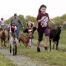 Thumbnail image for Running of the Goats – Sunday