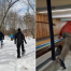 Thumbnail image for Seniors invited to snowshoeing, hiking, candlepin bowling, and free mini golf