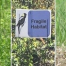 Thumbnail image for Walk this way at Breakneck Hill <em>(getting ready for grassland nesting)</em>
