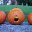 Thumbnail image for Open discussion thread (Ask questions, share opinions) and more pumpkin pics