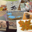 Thumbnail image for Holiday Gifts on the Common: Handmade crafts and goods by local artisans – November 17
