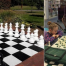 Thumbnail image for Library going in big on Chess
