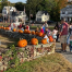 Thumbnail image for Photo Gallery: 2019 Pumpkin Stroll