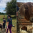 Thumbnail image for Events this week: Literacy Webinar, Movie Night, Goats at the farm, Kids concert, Building Bee Houses, and more (Updated)