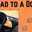 Thumbnail image for Sign up to “Read to a Dog” over zoom