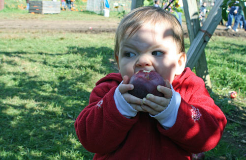 Post image for Kids and coffee cake: Kindergroup is open for new members