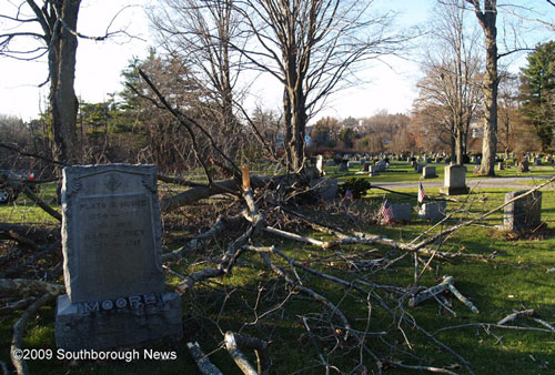Post image for When a tree falls in the cemetery …