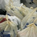 scouting-for-food-2009-5