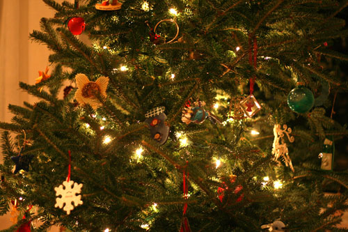 Post image for Boys Scouts will take away your old Christmas tree