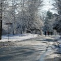 first-snow-1