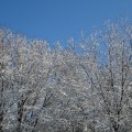 first-snow-11