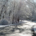 first-snow-2