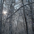 first-snow-5