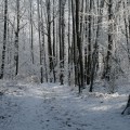 first-snow-6