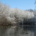 first-snow-7