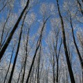 first-snow-8