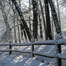 Thumbnail image for Photos: It’s beginning to look a lot like Christmas