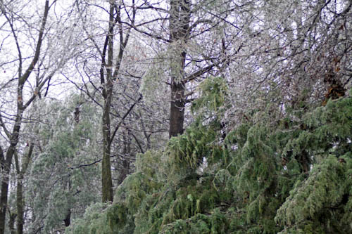 Post image for Southborough gets teeny tiny reimbursement for December 2008 ice storm