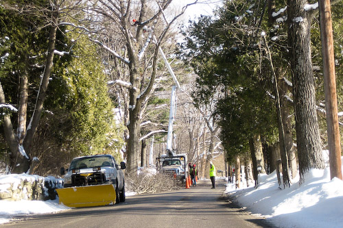 Post image for Trees coming down on Flagg Road