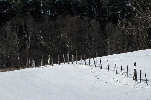 Post image for Looking for a sledding spot? Think Chestnut Hill Farm