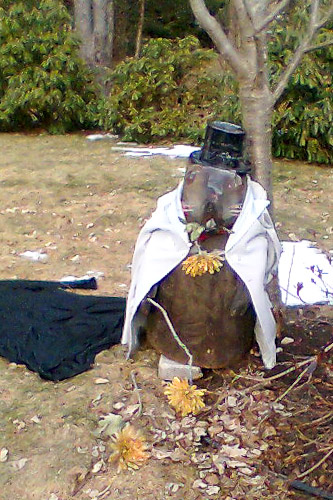 Post image for Southborough’s own Punxsutawney Phil … sort of