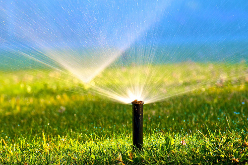 Post image for Voluntary water ban now in effect