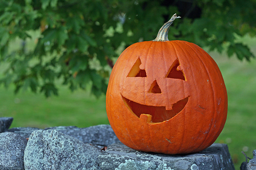 Post image for Heritage Day pumpkin viewing to end early due to mosquito threat