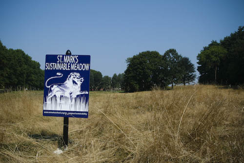 Post image for St. Mark’s declares its lawn ‘sustainable’