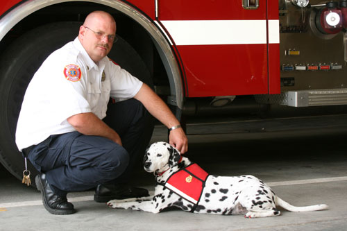 Post image for Fire safety dog Sparkles has passed away
