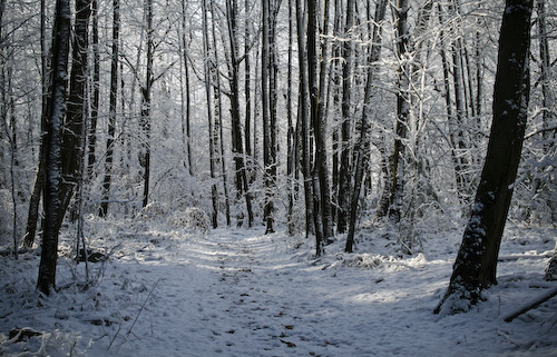 Post image for Snow Shoe clinic – register by 1/27