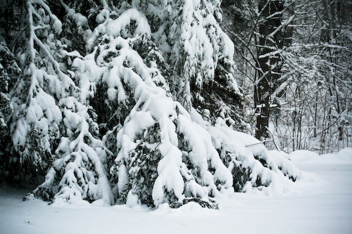 Post image for Let it snow (8-10 inches) and keep me posted