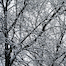 Thumbnail image for Photos: Sometimes it’s lovely