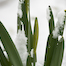 Thumbnail image for Photos: Mother Nature has a sense of humor