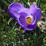 Thumbnail image for PHOTOS: Spring is springing