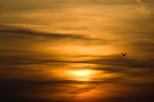 Post image for United Parishes of Southborough to host Easter sunrise service