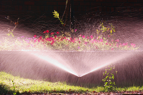 Post image for Voluntary odd/even water ban now in effect