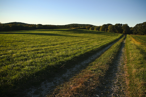 Post image for ‘Boroughs-area communities receive state funding for new park system