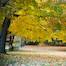 Thumbnail image for Your favorite places: To see fall foliage