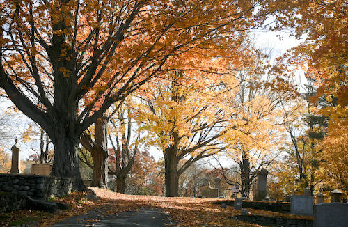 Post image for MWDN: Southborough looks to pave roads in cemetery