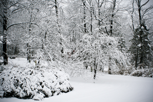 Post image for Southborough’s first snow day of the year: What’s closed today (UPDATED)
