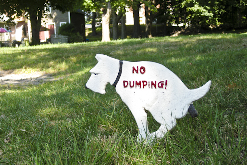 Post image for Board of Health: Dog poop doesn’t belong in a storm drain
