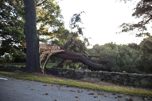 Post image for Southborough police logs (9/17/12 – 9/20/12): Falling trees block multiple roadways