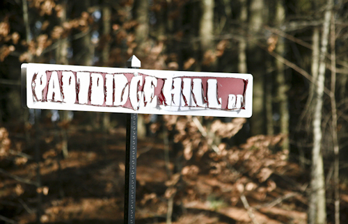 Post image for What’s up with the peeling street signs?