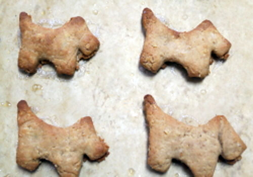 Post image for From the Culinary Underground: Robbie’s holiday cookies