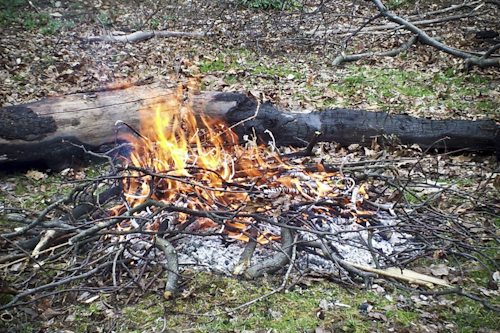 Post image for Brush burning permits available through April 30