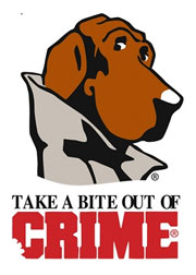 Post image for Are you setting up a neighborhood watch?