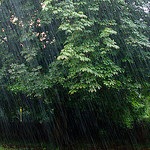 Post image for Summer Concert Series cancelled tonight